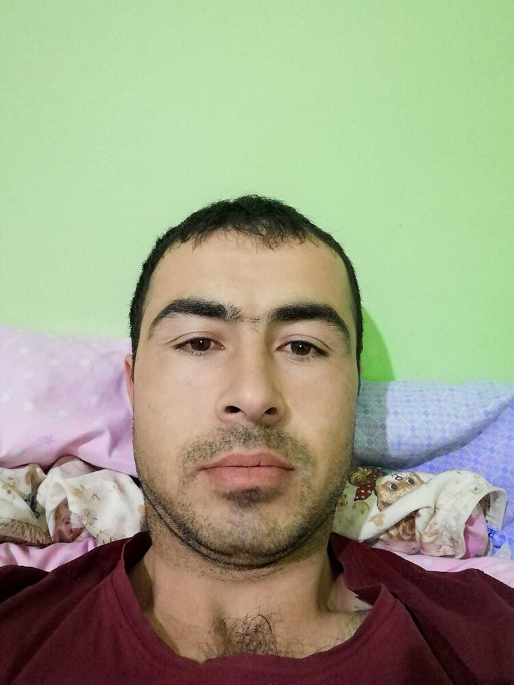 ���� 22568429 ������� ����, 33 ����, ���� ���������� � ���������