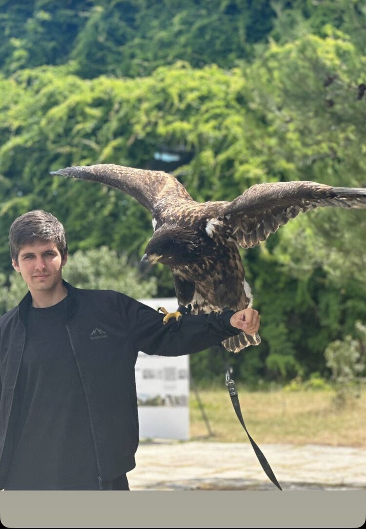 ���� 51119979 ����� �������, 20 ���, ���� ���������� � ����