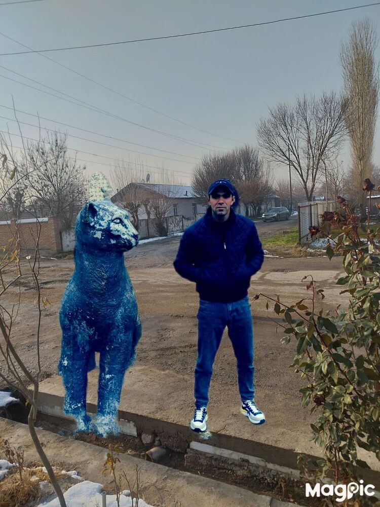  48569829  , 25 ,    -