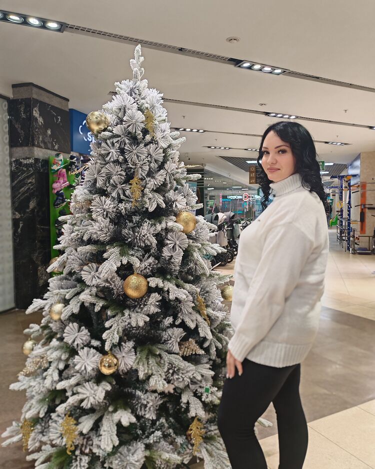 ���������� ��������, ���� ������� ���������, 33 ����, ������������ ��� ������, ����� � ���������, ���������