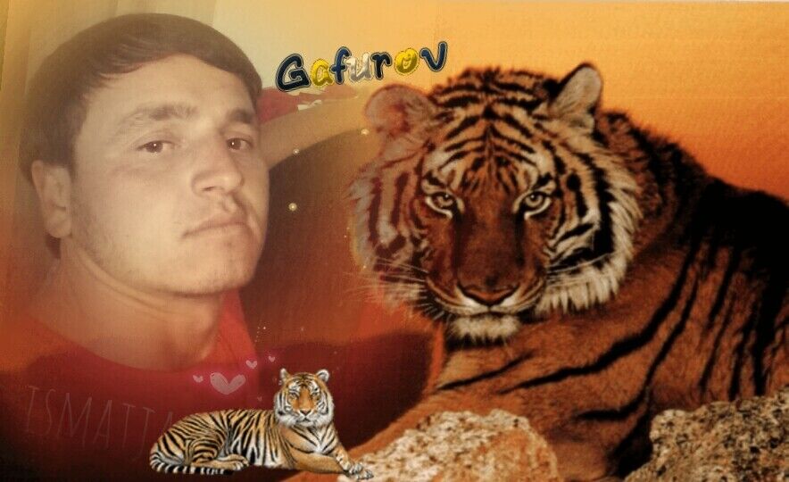 ���� 23357769 ������� �����, 31 ���, ���� ���������� � �����������