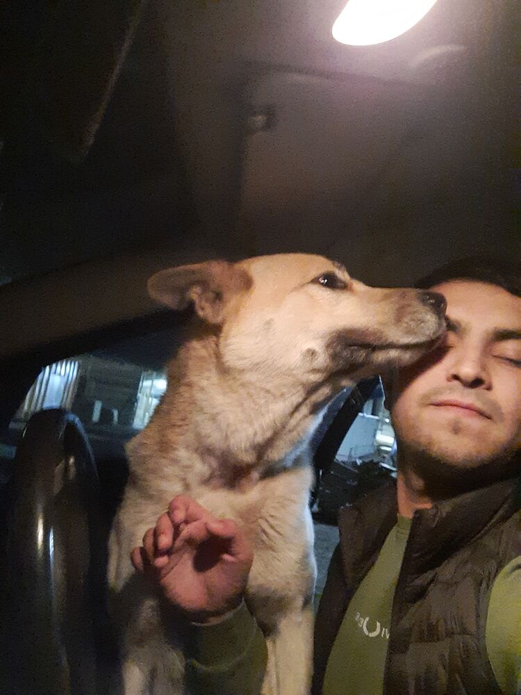 ���������� ������, ���� ������� ����, 33 ����, ������������ ��� ������, ����� � ���������, c�������� ���������, ���������