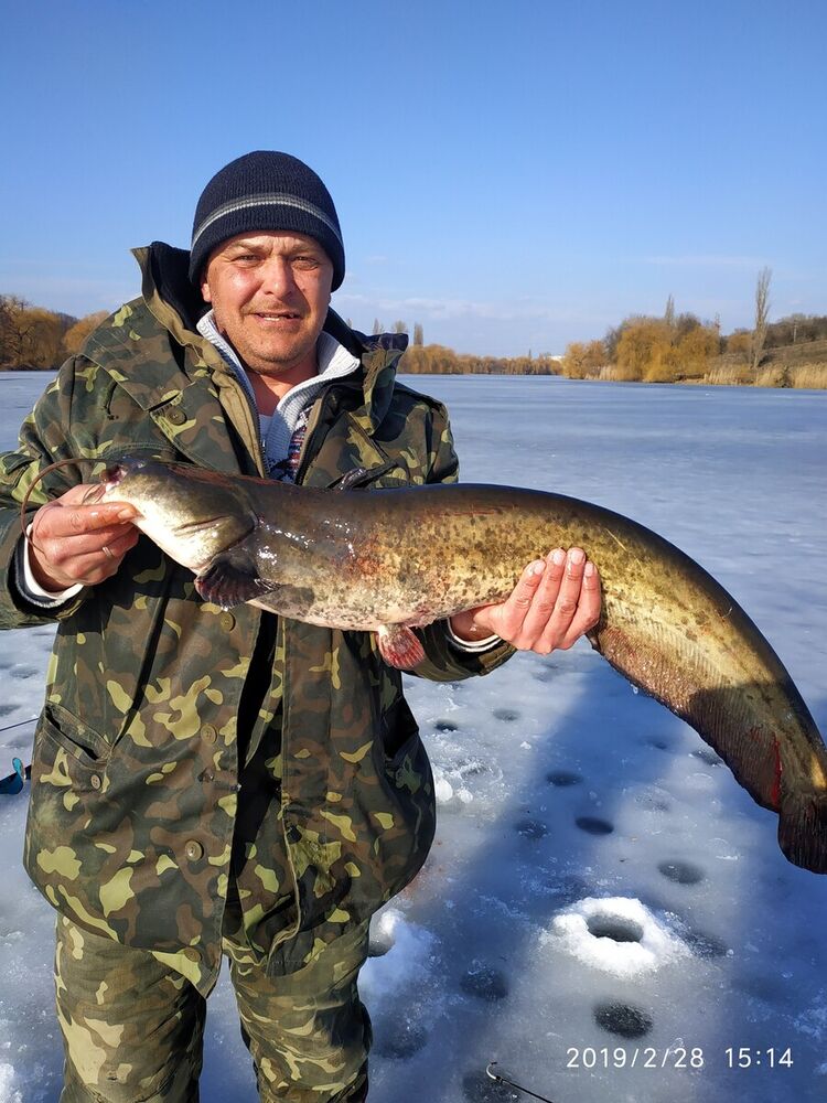  22058839  Ryslan, 51 ,    