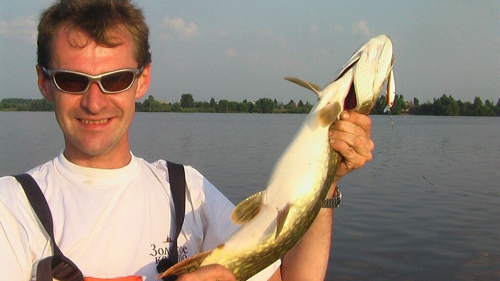 ���� 18334439 ������� �����, 54 ����, ���� ���������� � ���������