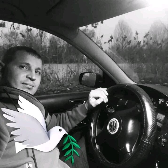  49688289  , 43 ,    