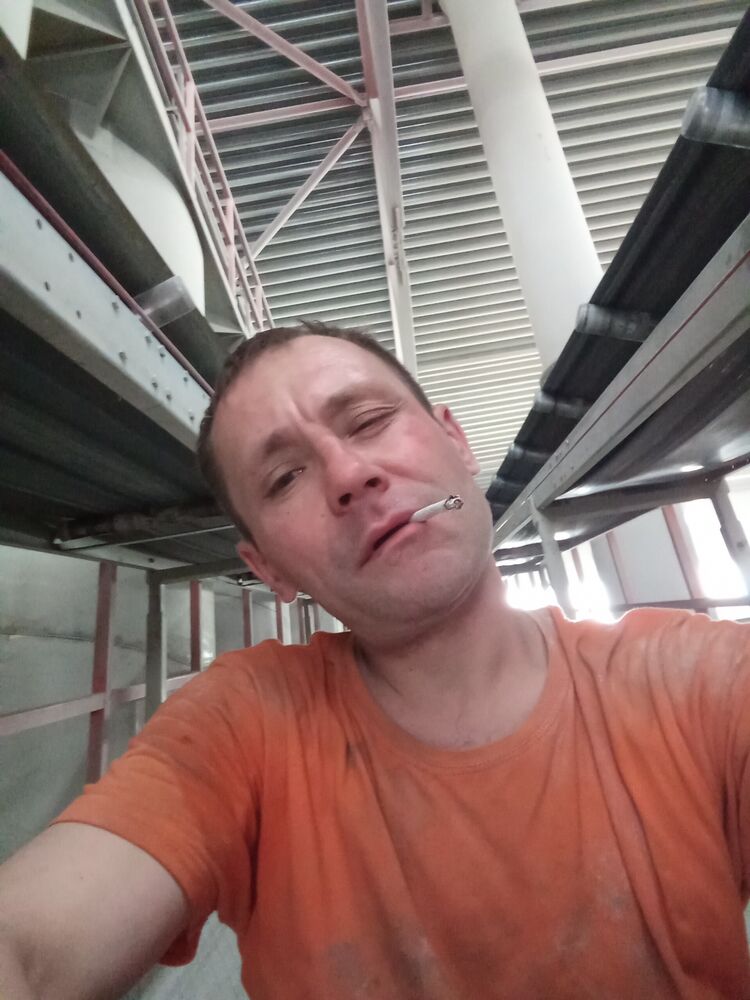  43355079  , 40 ,    