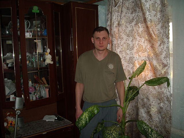 ���� 32441529 ������� �����, 42 ����, ���� ���������� � ������