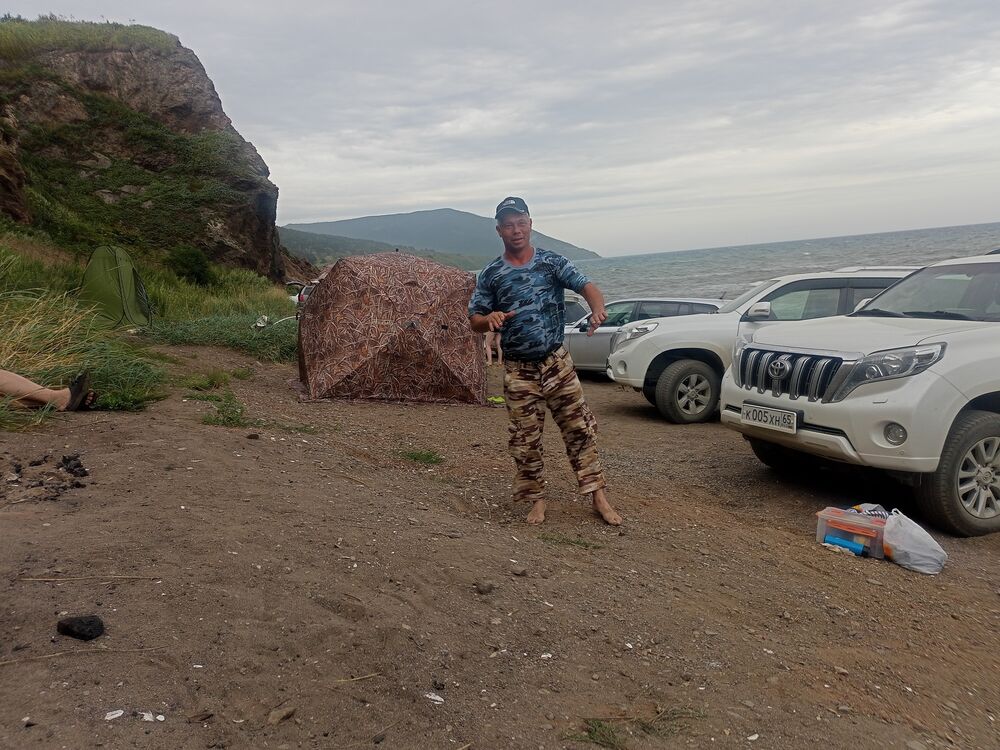  53343359  , 39 ,    -