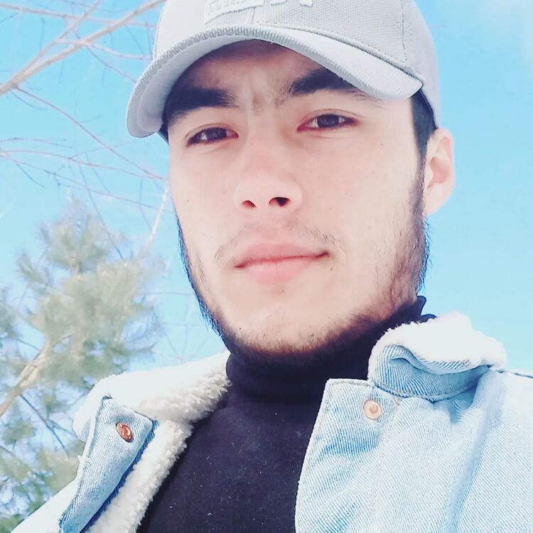 ���� 27762329 ����� ������, 24 ����, ���� ���������� � ������