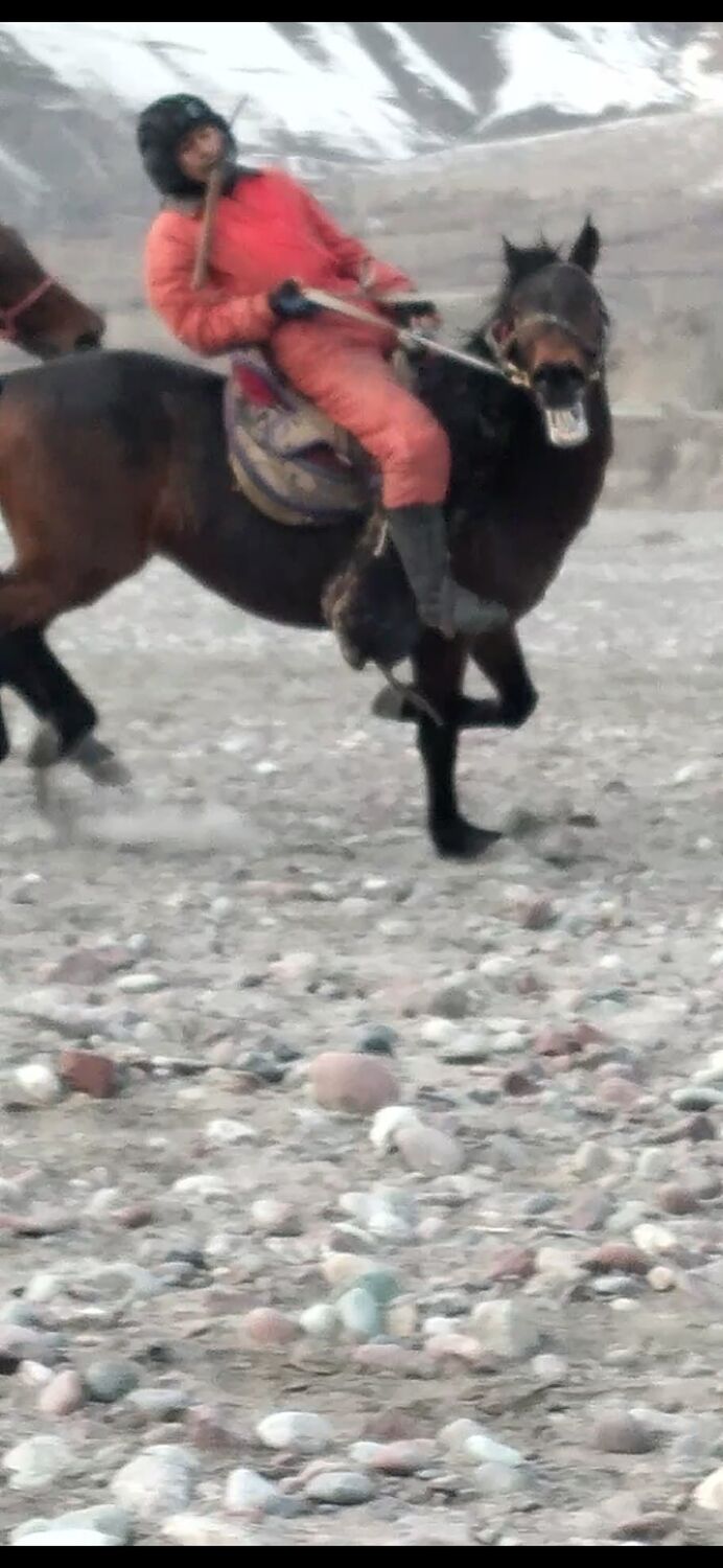  44184539  , 29 ,    