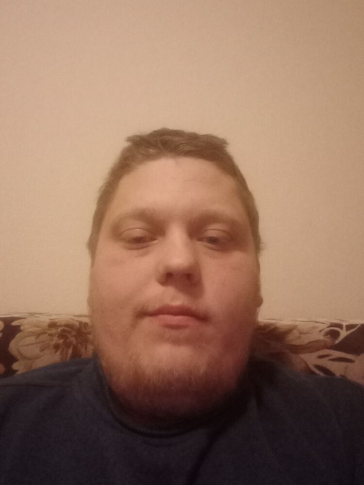  31553579  , 28 ,    