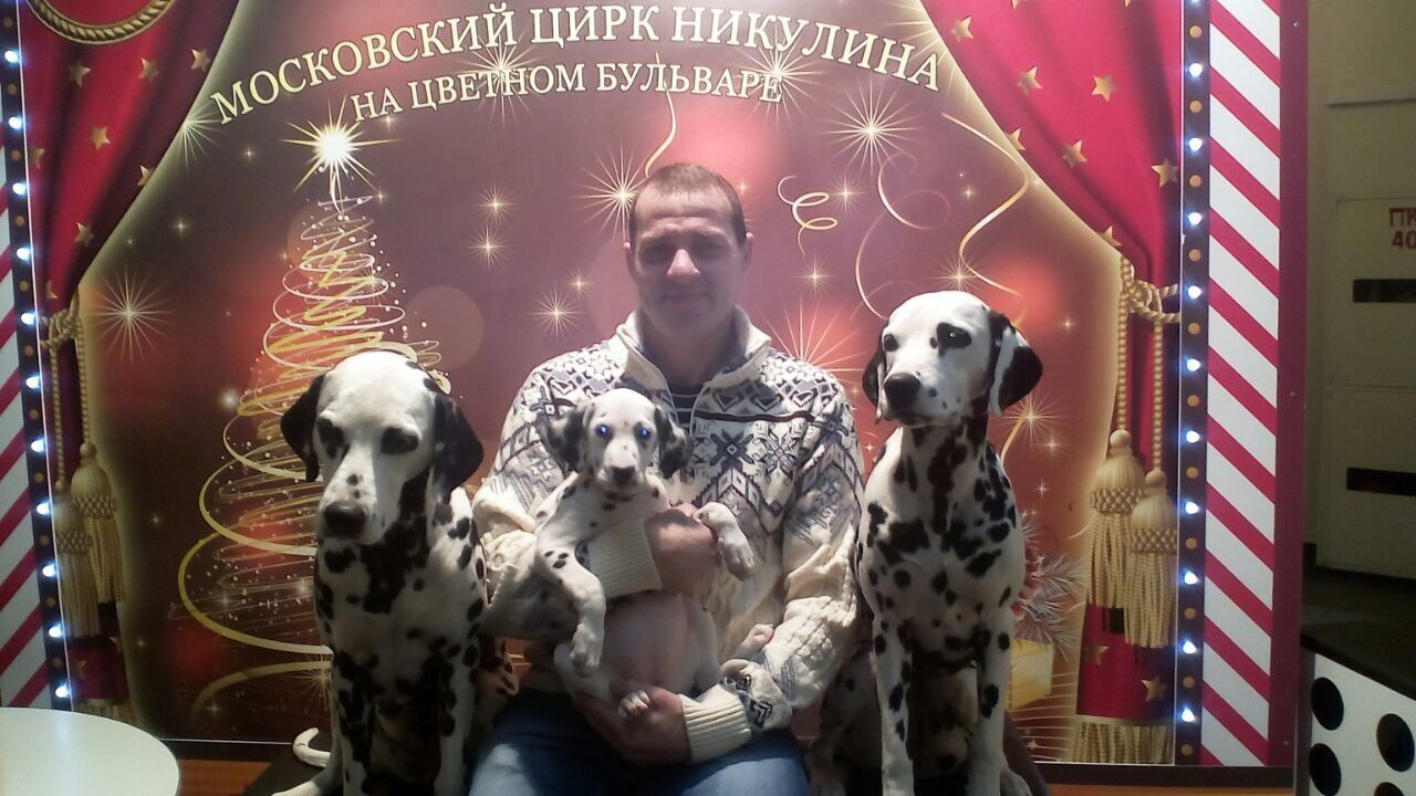  ,   Pavel, 52 ,   ,   , c , 
