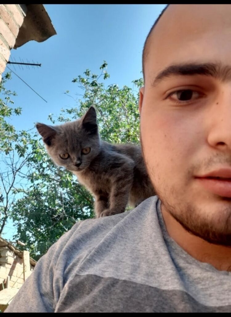 ���������� ������-��-����, ���� ������� �������, 28 ���, ������������ ��� c�������� ���������