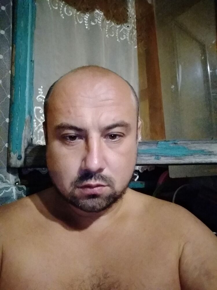  17501329  , 40 ,    