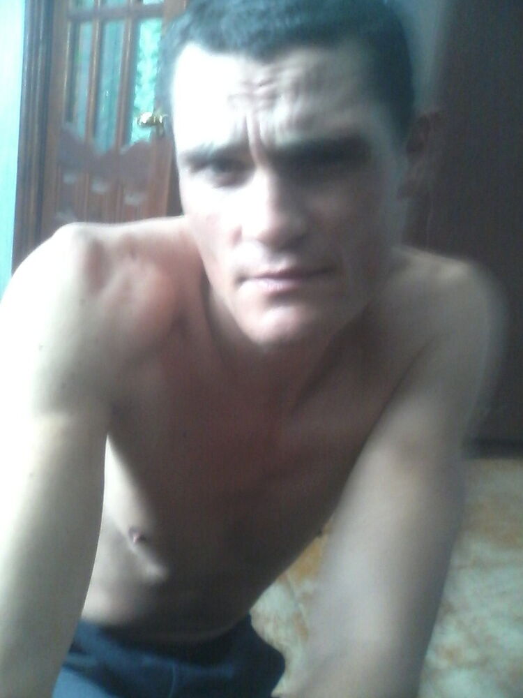  8692939  , 50 ,    