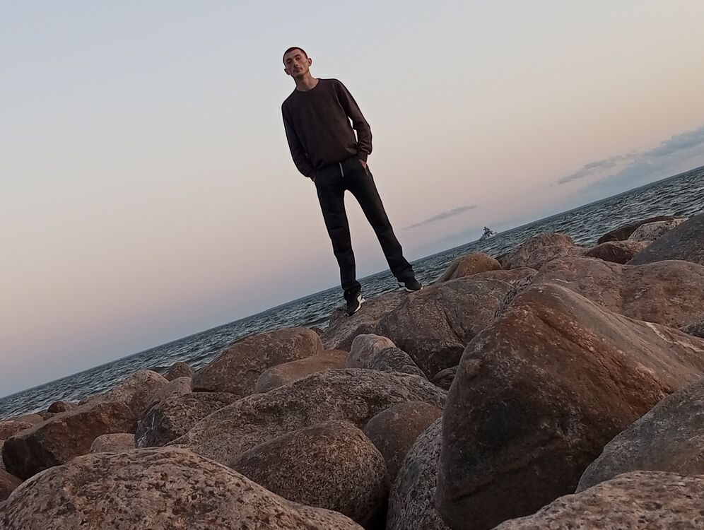  39542529  , 31 ,    