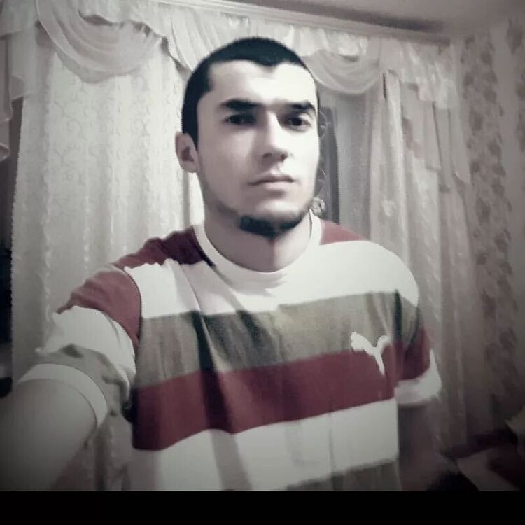  41298839  , 31 ,    