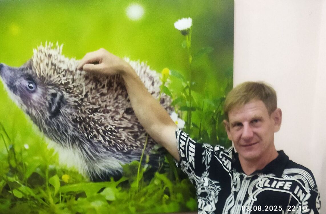 ���� 54538239 ������� ����, 42 ����, ���� ���������� � �������