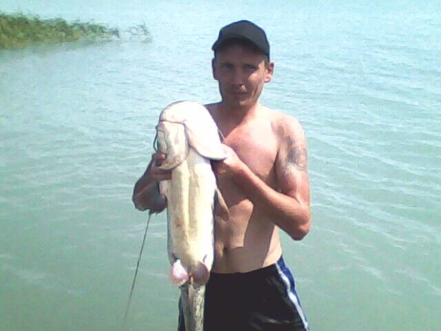  ,   Shahid, 40 ,   