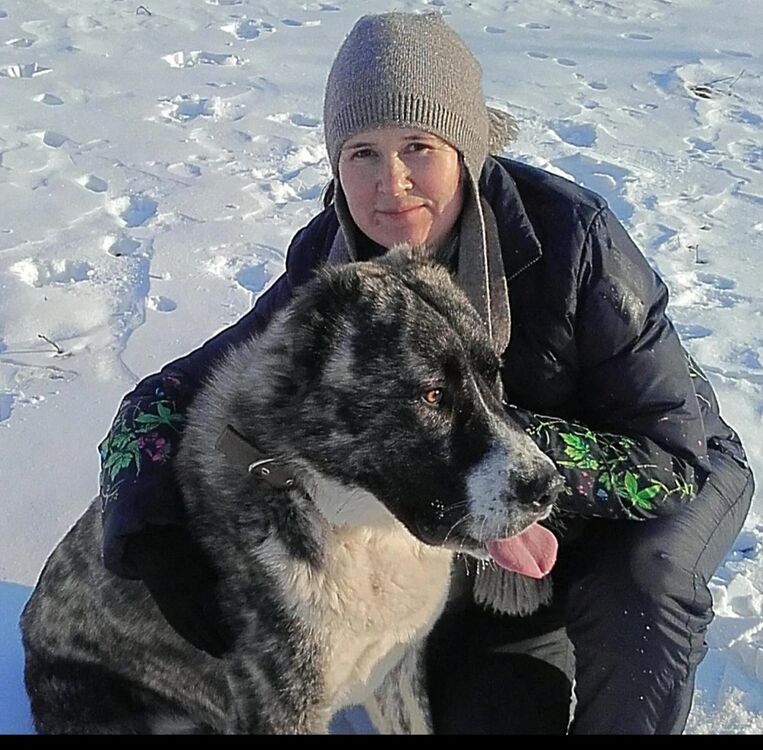 ���������� �����, ���� ������� �����, 52 ����, ������������ ��� ����� � ���������, c�������� ���������, ���������