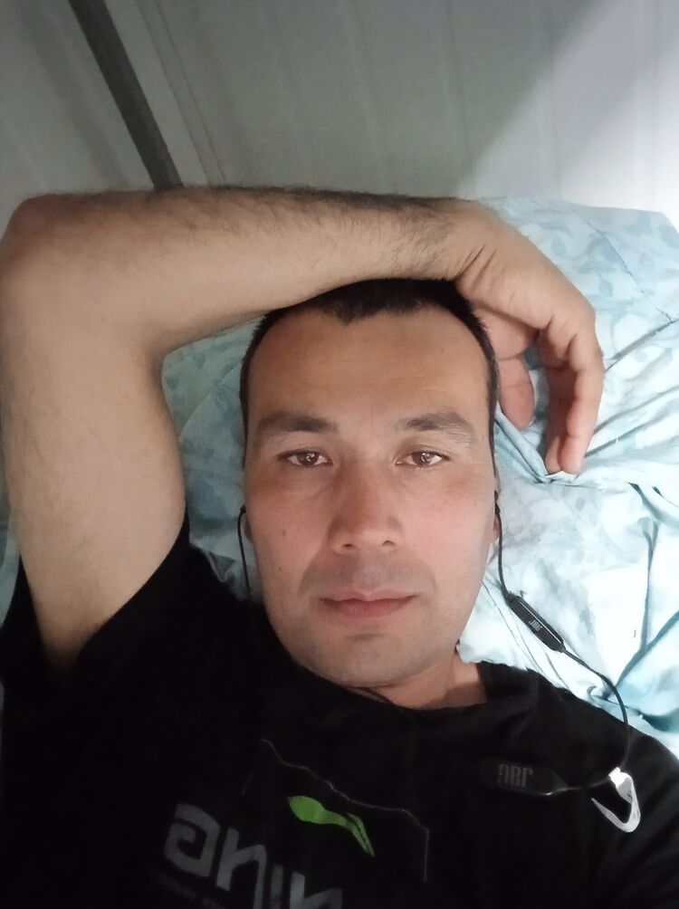  38184289  , 43 ,    