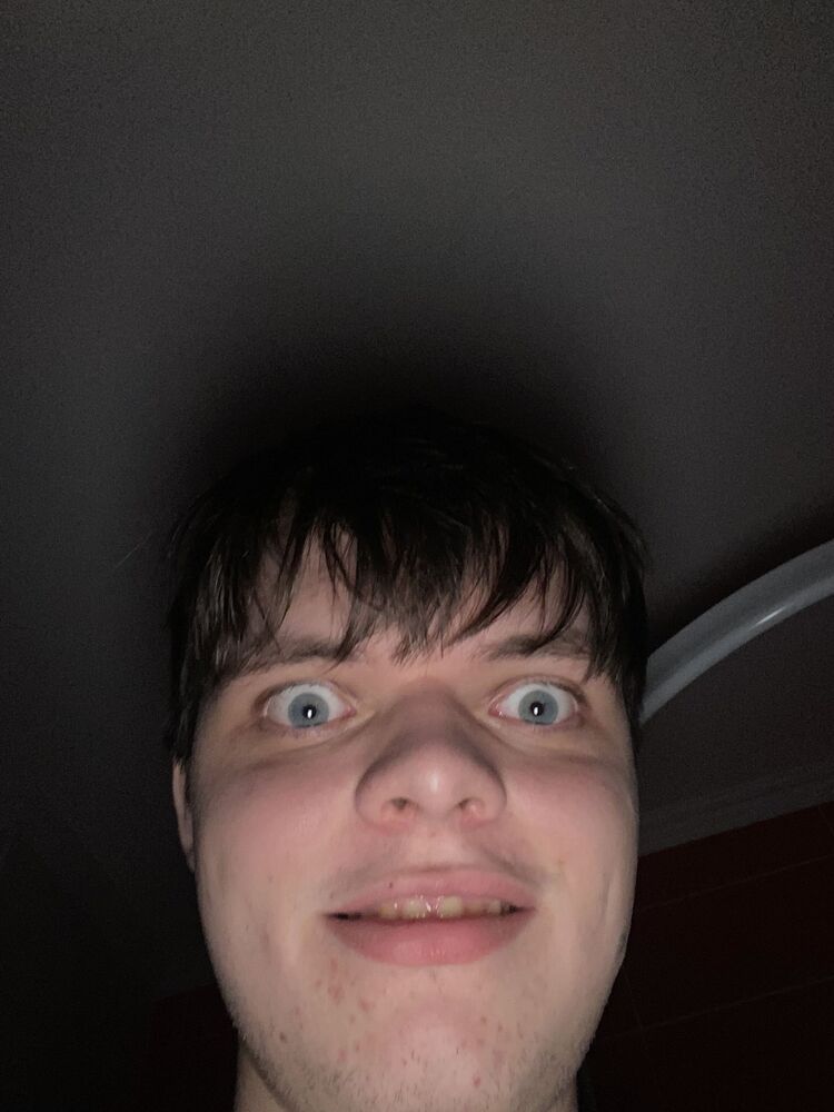  43547229  , 20 ,    -