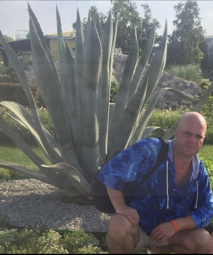 ���������� ������, ���� ������� �������, 46 ���, ������������ ��� ������, ����� � ���������, c�������� ���������