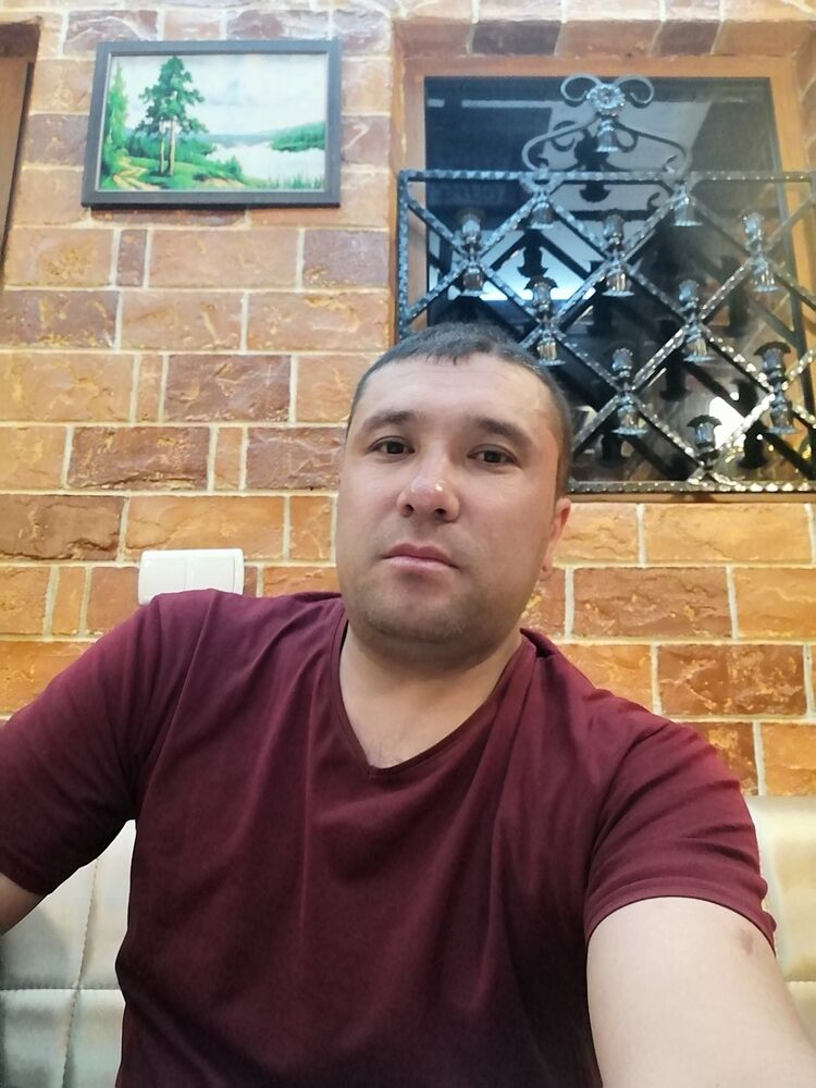 33668659  , 44 ,    