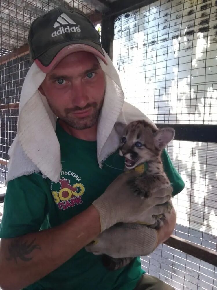 ���������� �������, ���� ������� Ivanov, 35 ���, ������������ ��� c�������� ���������