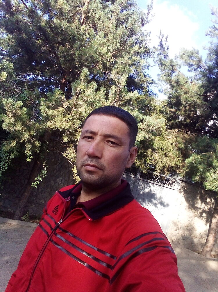 ���� 23816379 ������� �����, 41 ���, ���� ���������� � ������