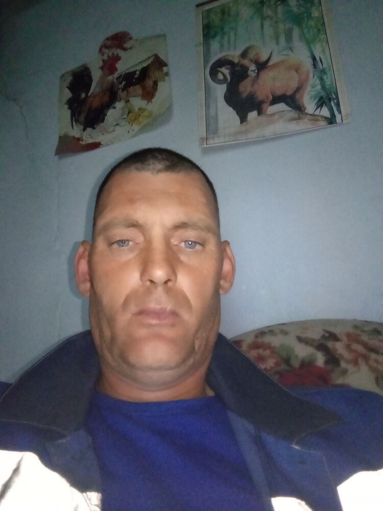  44368769  , 46 ,    