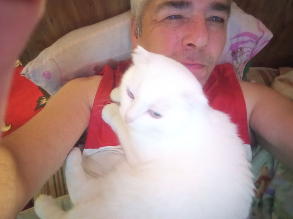 ���������� ��������, ���� ������� �������, 58 ���, ������������ ��� ����� � ���������, c�������� ���������