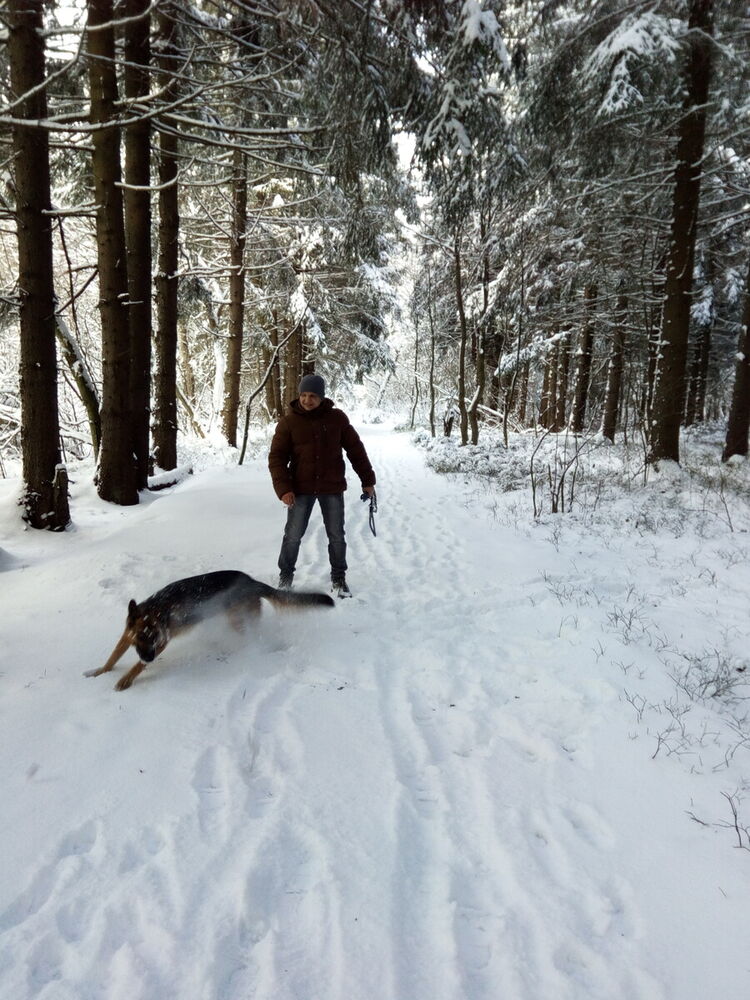 ���������� �����, ���� ������� ����, 43 ����, ������������ ��� ������, ����� � ���������, c�������� ���������