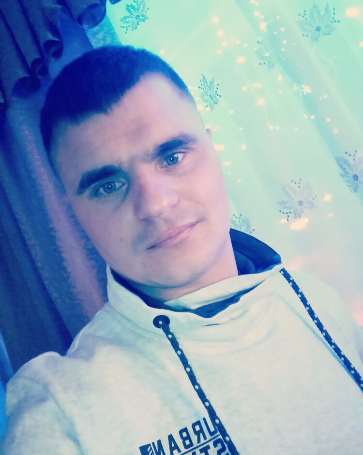  27315499  , 28 ,    