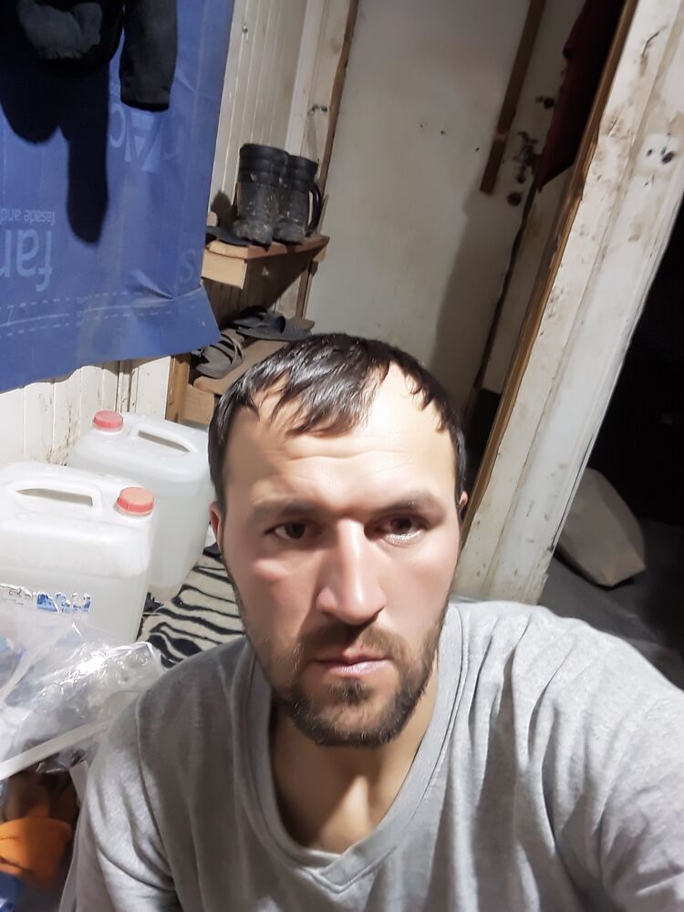 ���������� ������, ���� ������� ������, 38 ���, ������������ ��� ������, ����� � ���������, c�������� ���������