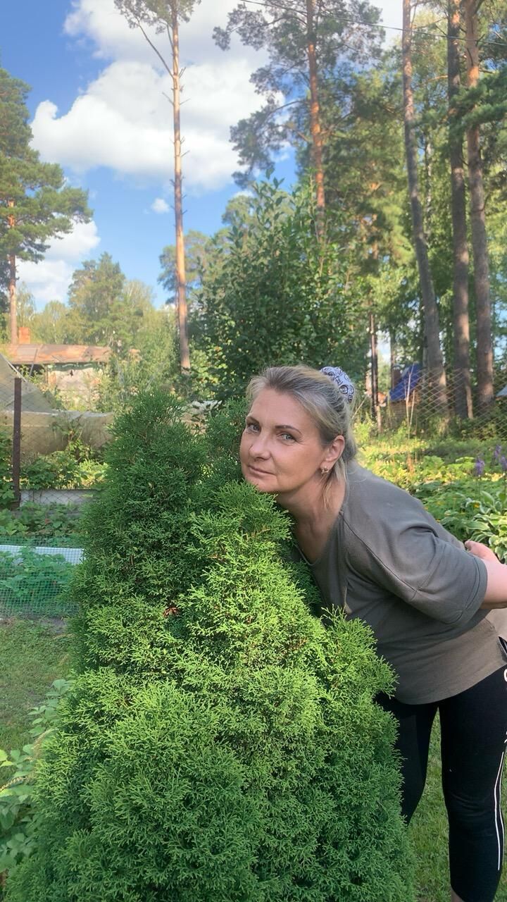  ,   , 53 ,   ,   