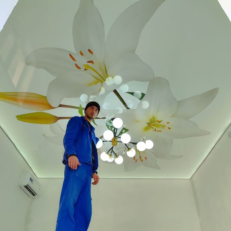 ���� 43401679 ������� ������, 26 ���, ���� ���������� � ��������