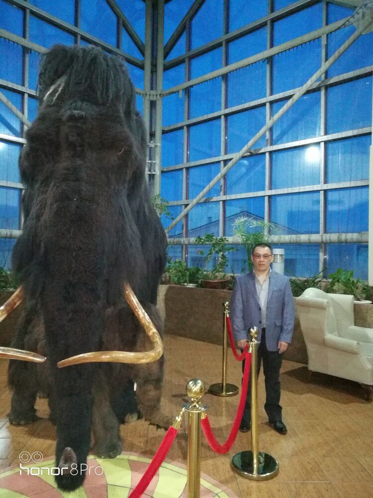 ���� 12137139 ������� �������, 50 ���, ���� ���������� � �������