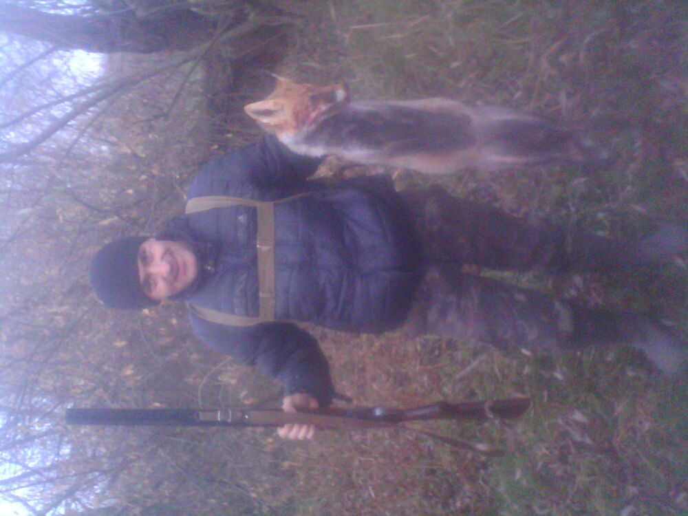 ���� 5140489 ������� �����, 38 ���, ���� ���������� � �����������