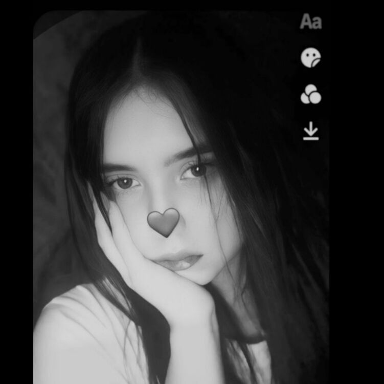  50301619  , 19 ,    