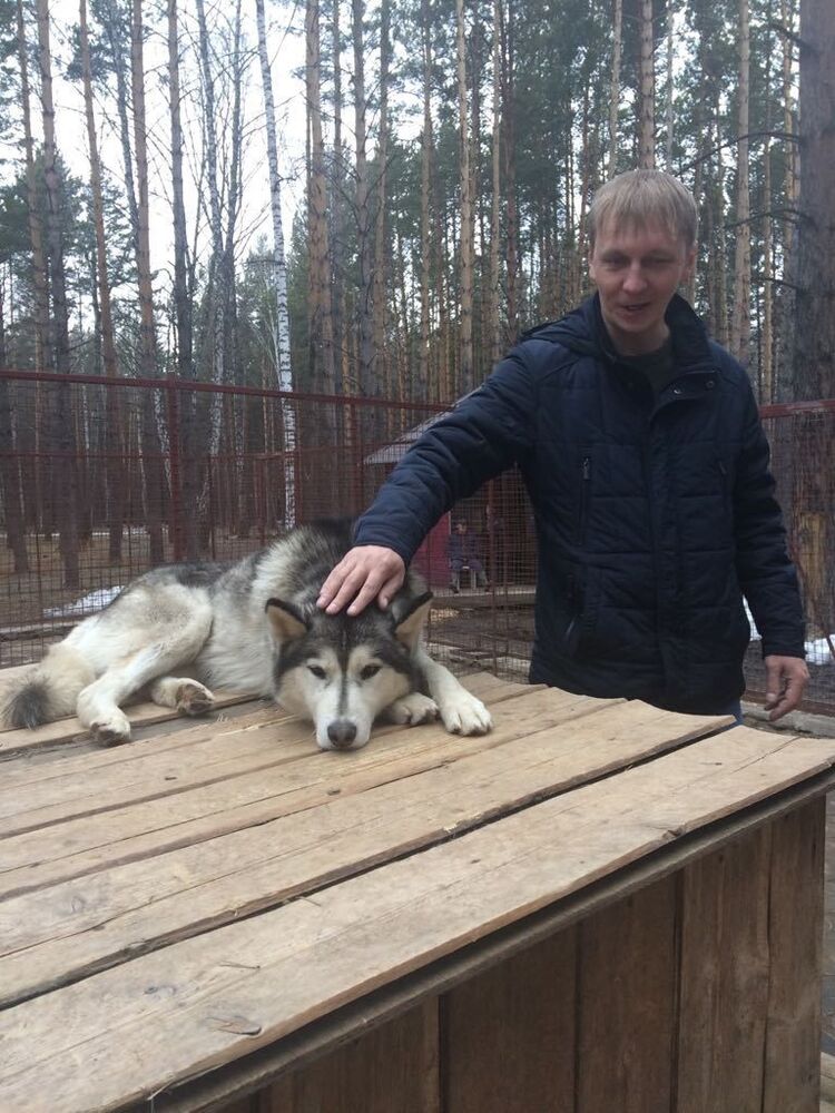 ���� 12315739 ������� �������, 45 ���, ���� ���������� � ��������