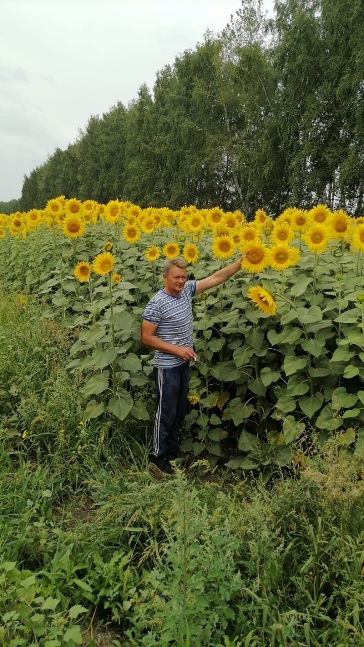  46678679  , 40 ,    
