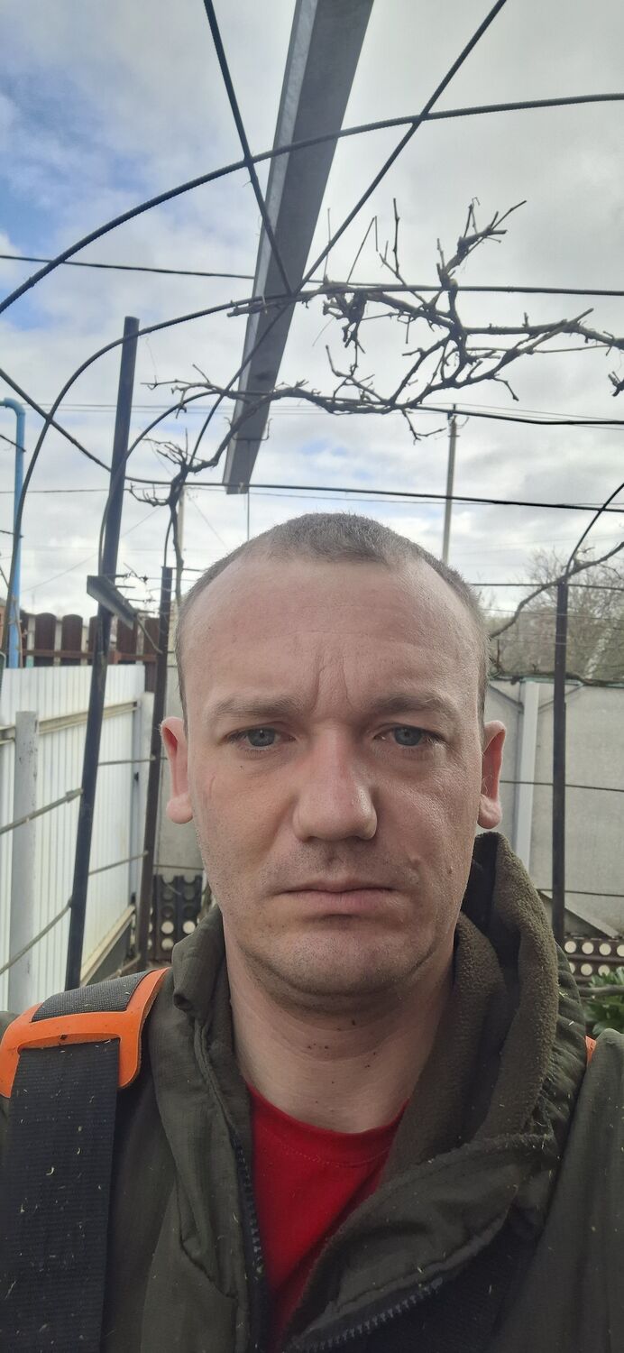 ���� 56260099 ������� ���������, 36 ���, ���� ���������� � ���������