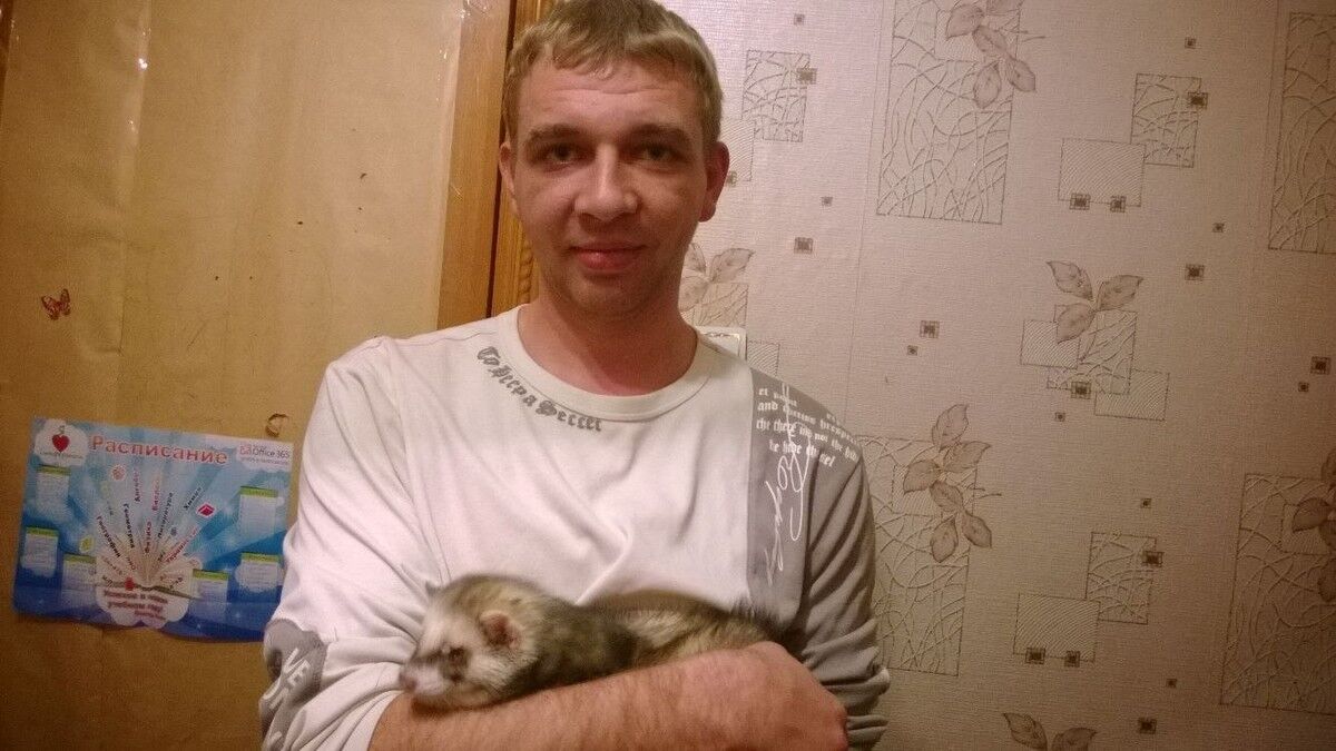 ���� 12312699 ������� �������, 36 ���, ���� ���������� � �����������