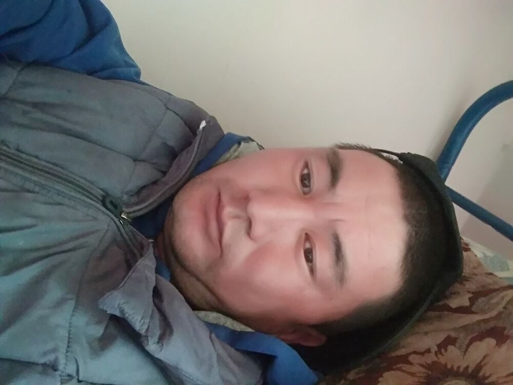  20308549  , 38 ,    -