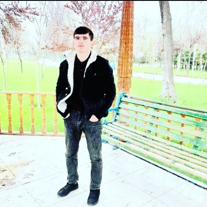 ���� 32088139 ����� Shikorci, 24 ����, ���� ���������� � �������