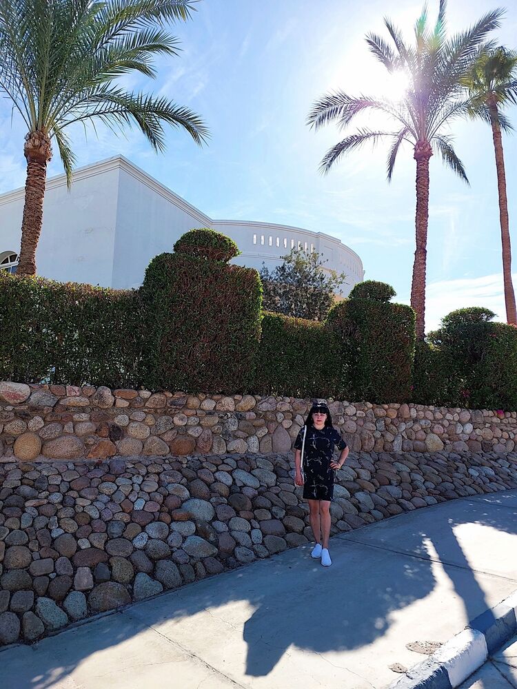 ���������� ������, ���� ������� �����, 49 ���, ������������ ��� c�������� ���������