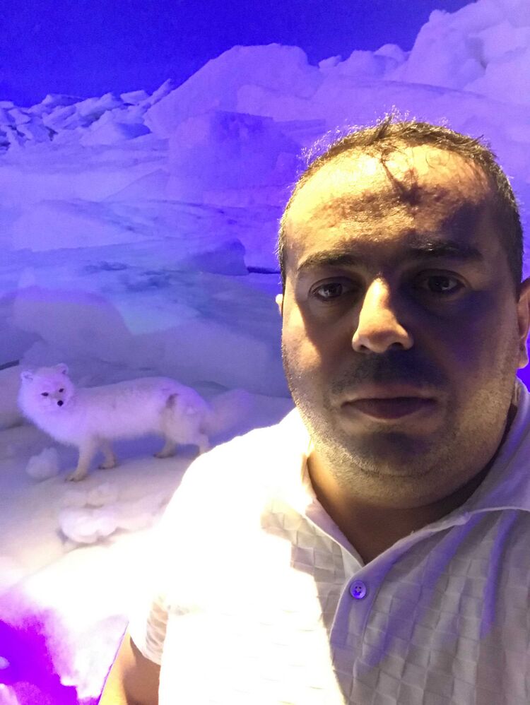 ���� 25764519 ������� �����, 40 ���, ���� ���������� � ������