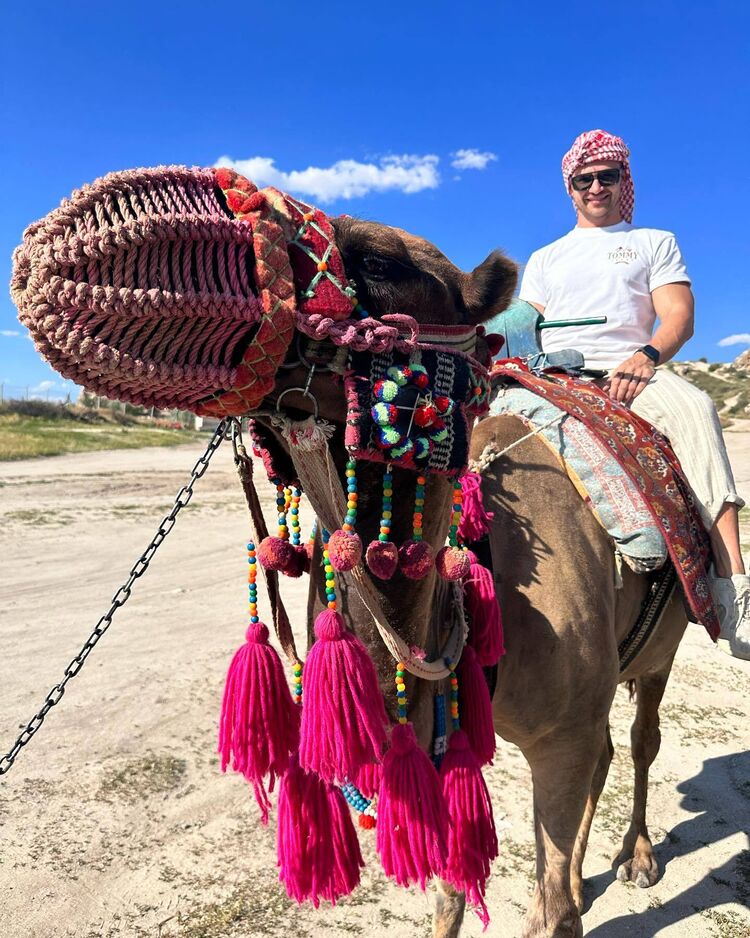 ���� 45583999 ������� ������, 36 ���, ���� ���������� � ������