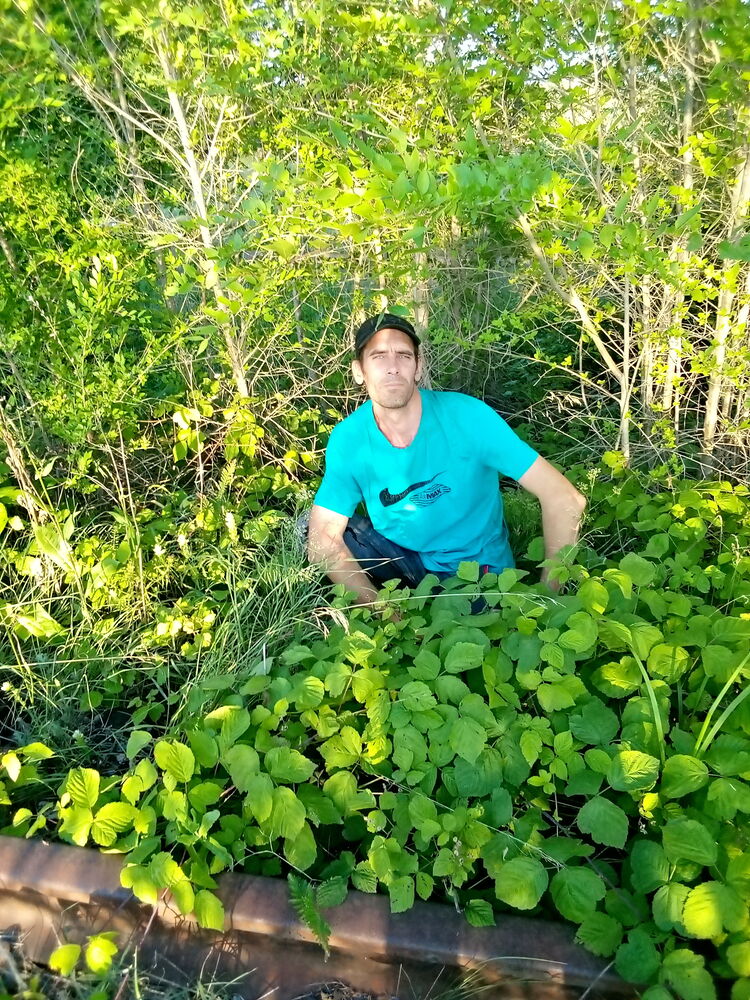 ���� 41887899 ������� ������, 42 ����, ���� ���������� � ������